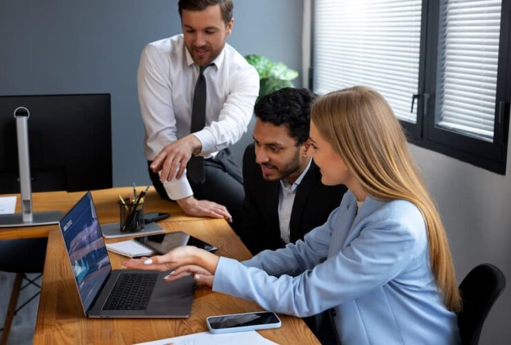 Professional IT Advisory Services