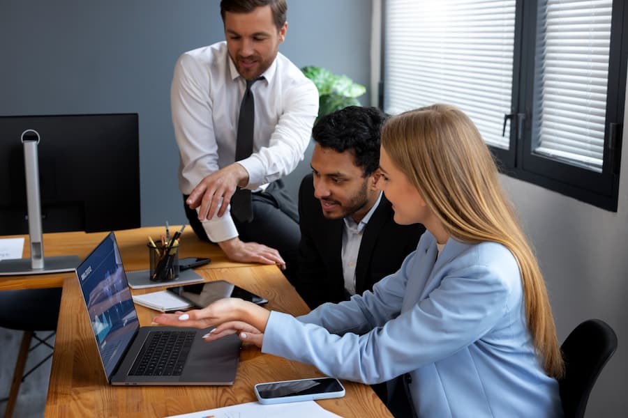 Professional IT Advisory Services