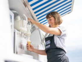 Soft Serve Freezer